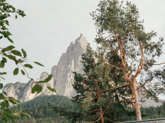 Sensoria Art Edition Holzterrasse mit Glasdach vor bewaldeten Bergen und Tannen