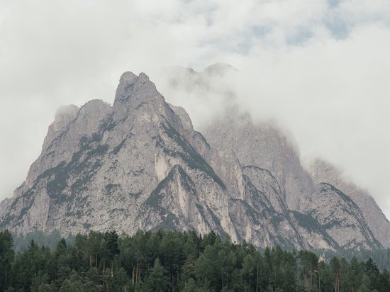 Kraftorte in Südtirol Wald vor felsigen Bergen mit wolkenverhüllten Gipfeln