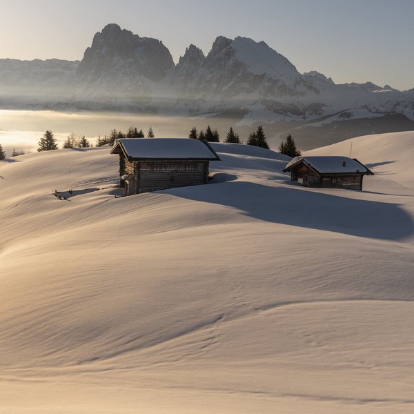 Settimana bianca sulle Dolomiti, al Sensoria Dolomites Baita innevata davanti alle montagne all'alba