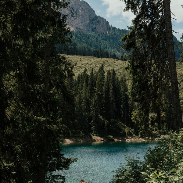 Meteo all’Alpe di Siusi? Soleggiato! Lago di montagna con acqua blu chiaro circondato da abeti e montagne sotto un cielo nuvoloso