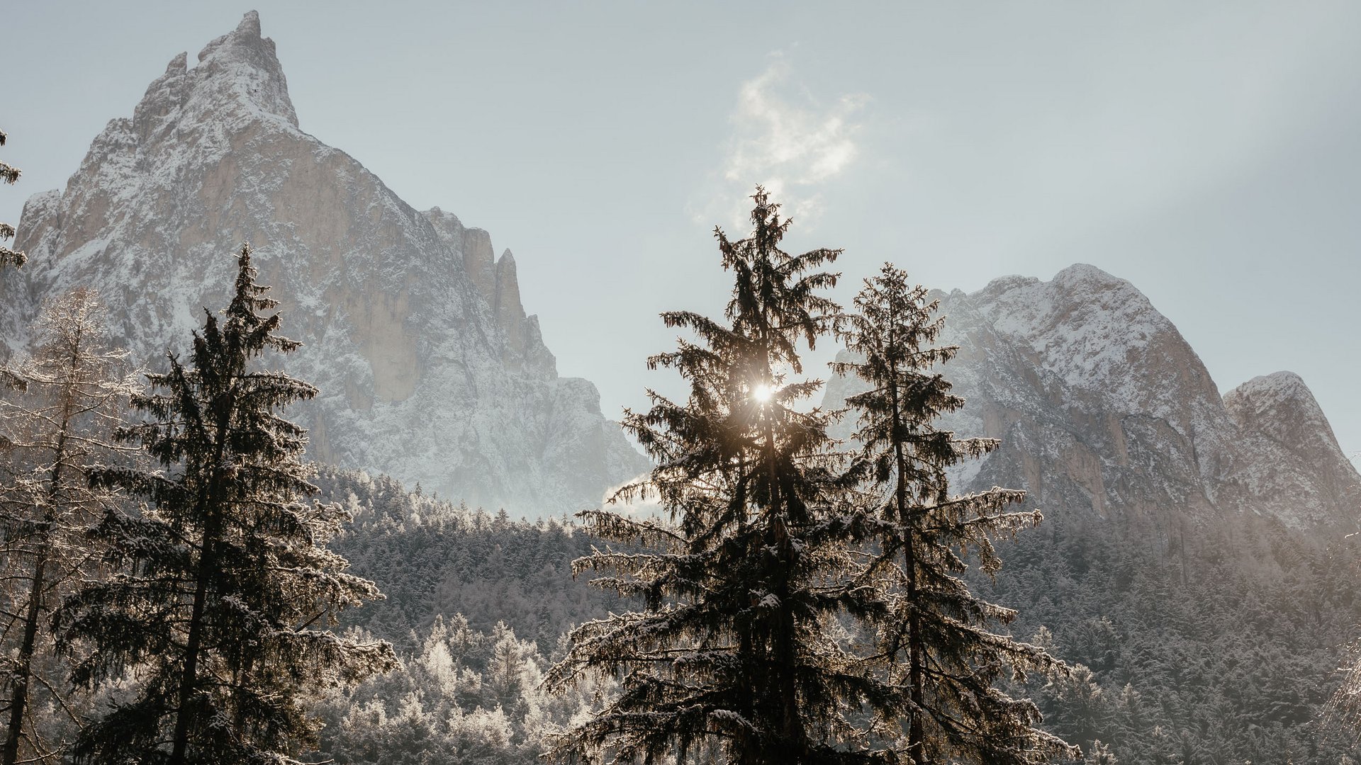 Dormire a Siusi allo Sciliar: la vostra camera preferita Abeti innevati con sole e montagne innevate sullo sfondo
