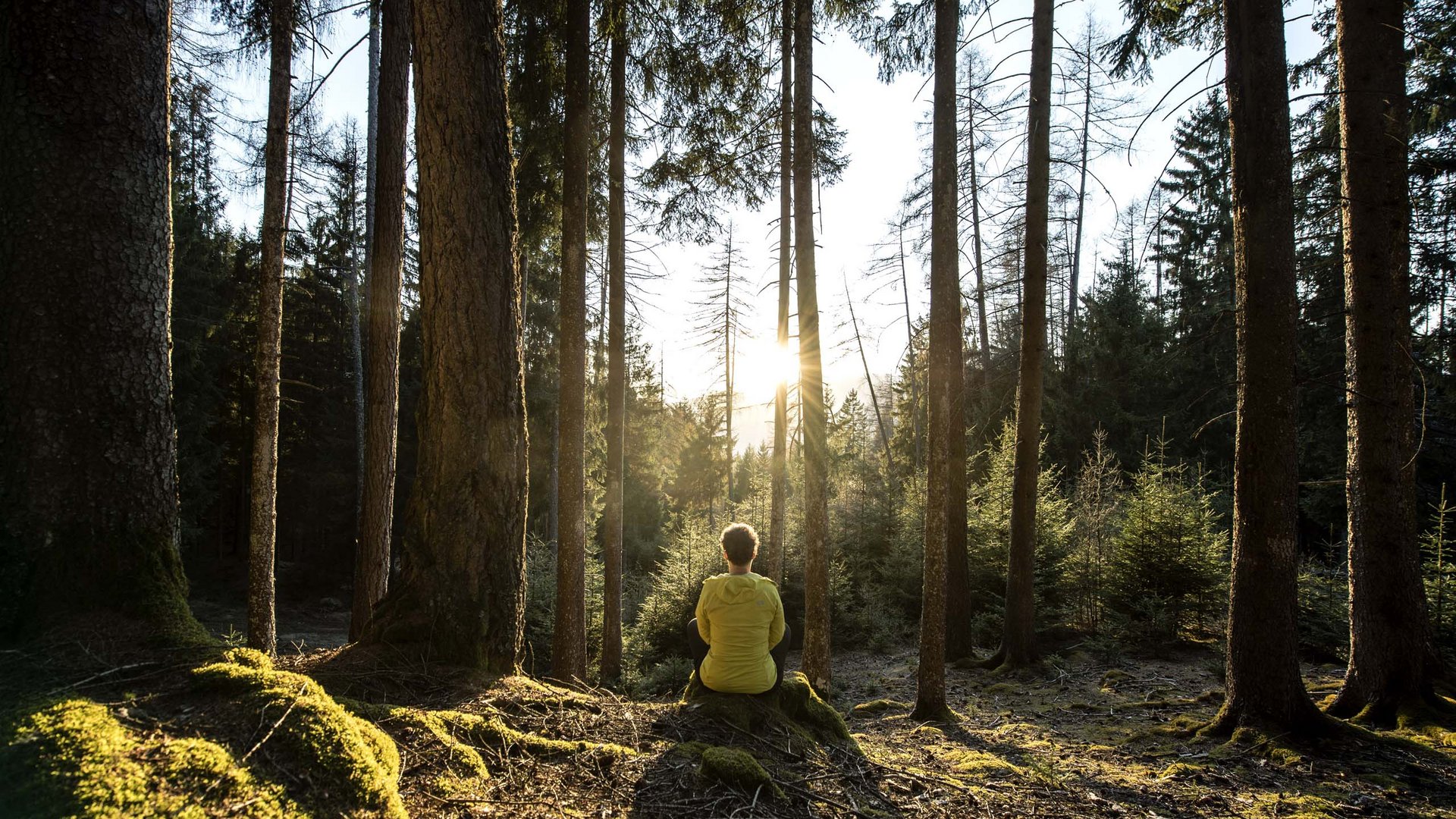 Person sitzt im Wald auf moosbedecktem Boden bei Sonnenuntergang