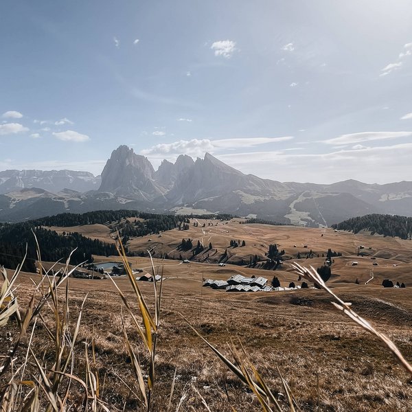 Active holidays in South Tyrol – ready for pure nature? Landscape with mountains and dry grass under a clear sky