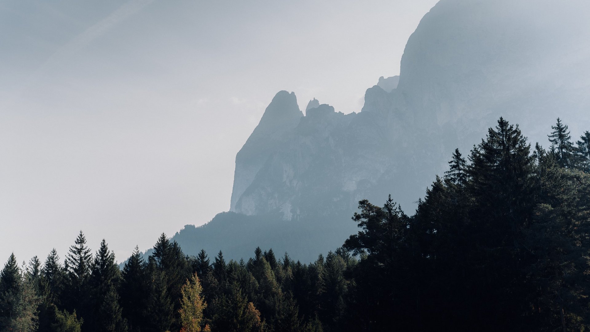Scopri Sciliar: Avventure e Escursioni nel Cuore delle Dolomiti Montagna nebbiosa sullo sfondo con foresta di conifere scure in primo piano
