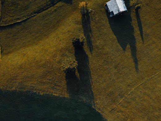 Sustainability at Sensoria Dolomites Aerial view of trees and a small building casting long shadows on a field