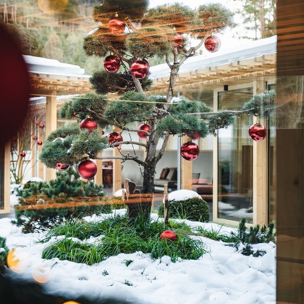 Sensoria Dolomites: il vostro hotel sull’Alpe di Siusi Albero decorato con palline rosse all'esterno con neve intorno