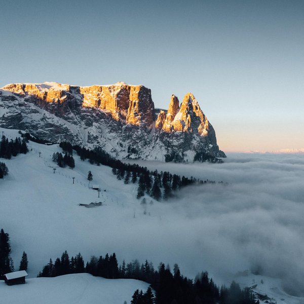 Active holidays in South Tyrol – ready for pure nature? Snow-covered mountains at sunset above fog and pine trees