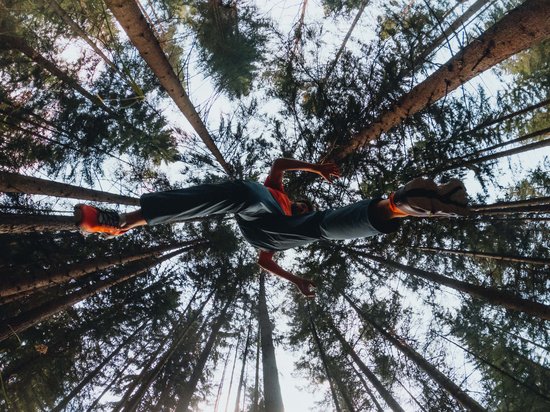 Active holidays in South Tyrol – ready for pure nature? Person jumping in forest with low camera angle looking up at trees