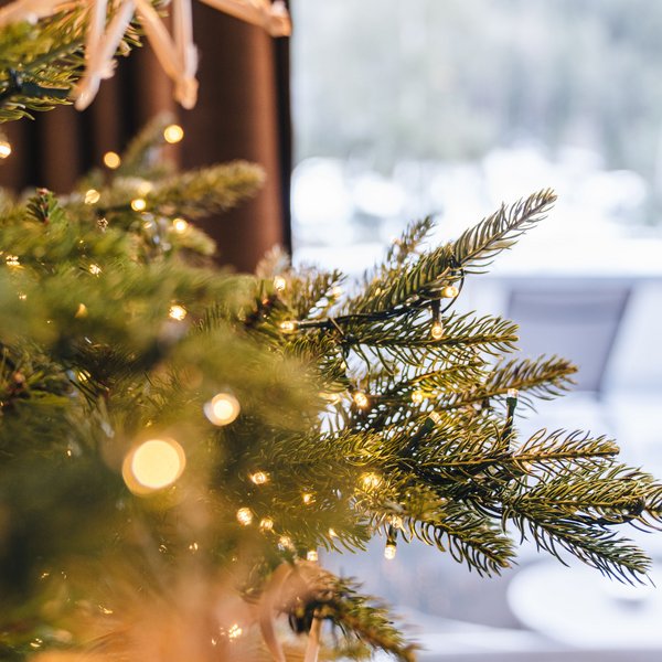 Sensoria Dolomites: il vostro hotel sull’Alpe di Siusi Rami di albero di Natale con luci in soggiorno