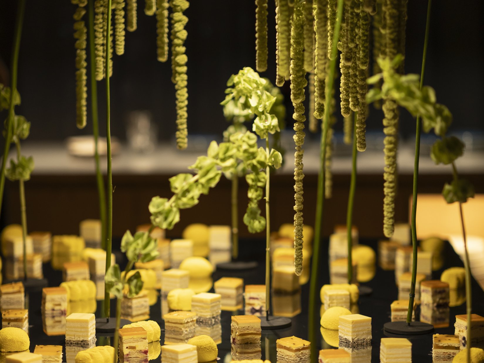 Sensoria Art Edition Hängende gelbe Blüten und kleine gelbe Schichtkuchen auf schwarzem Untergrund