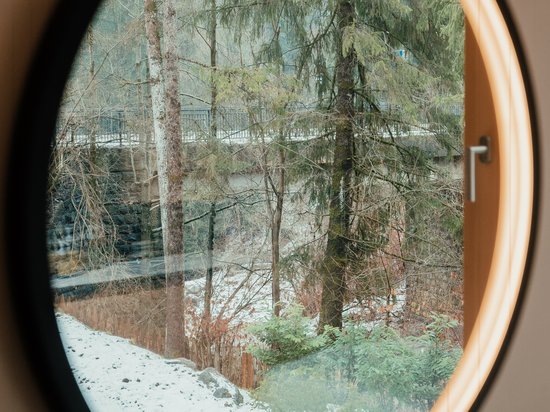 Hotel in mezzo alla natura: area spa del Sensoria Dolomites Foresta invernale con neve e alberi vista da una finestra rotonda
