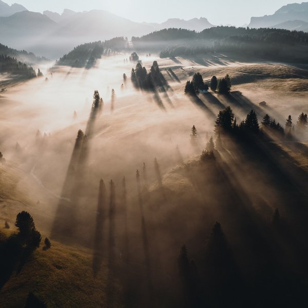 Meteo all’Alpe di Siusi? Soleggiato! Valle nebbioso con lunghe ombre degli alberi alla luce del mattino