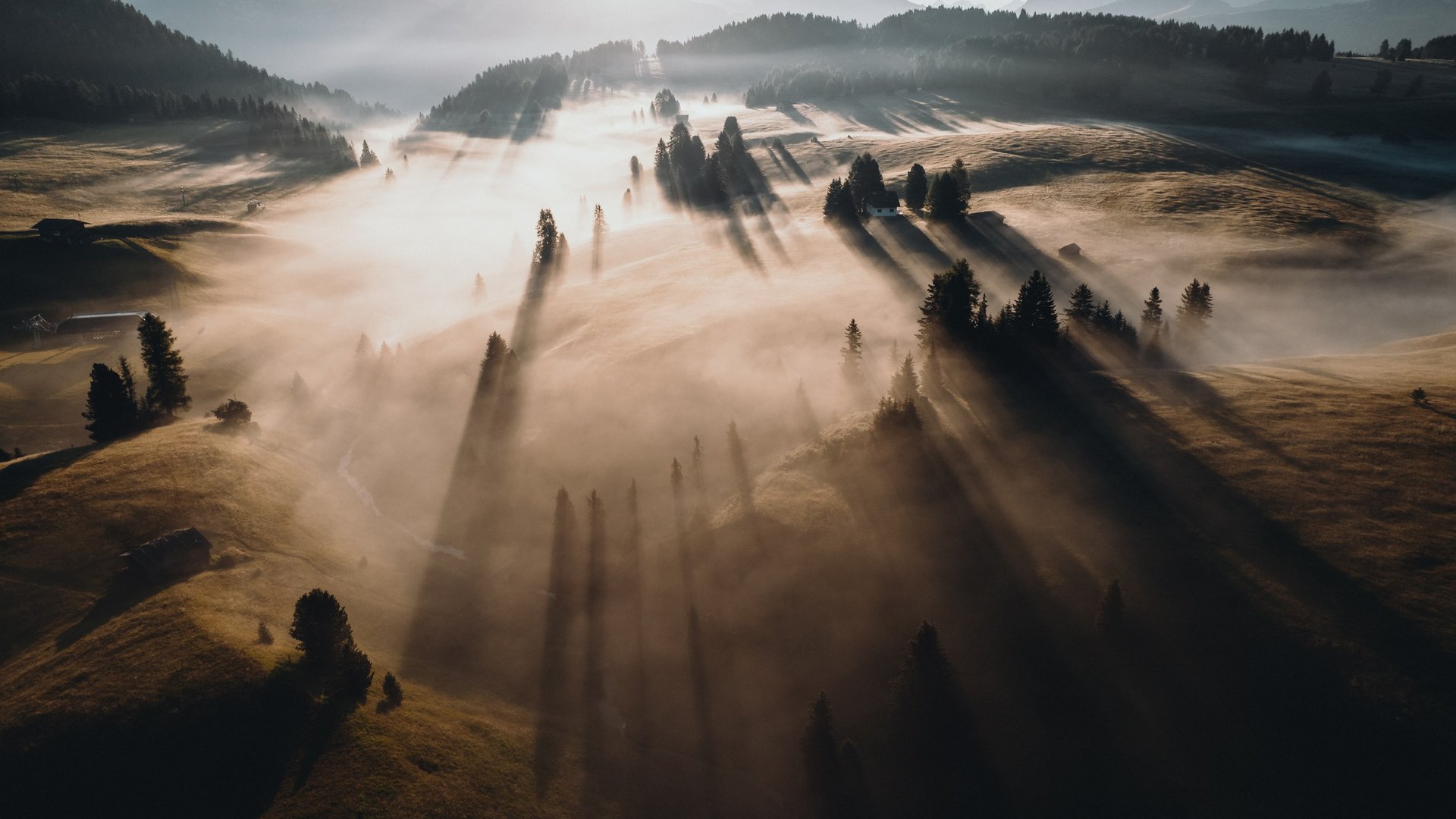 Sensoria Dolomites: much more than a hotel in South Tyrol Foggy valley with long tree shadows in the morning light