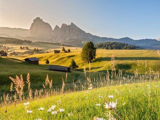 Sensoria Dolomites: hotel in montagna Prato fiorito in primo piano e montagne sullo sfondo sotto un cielo limpido