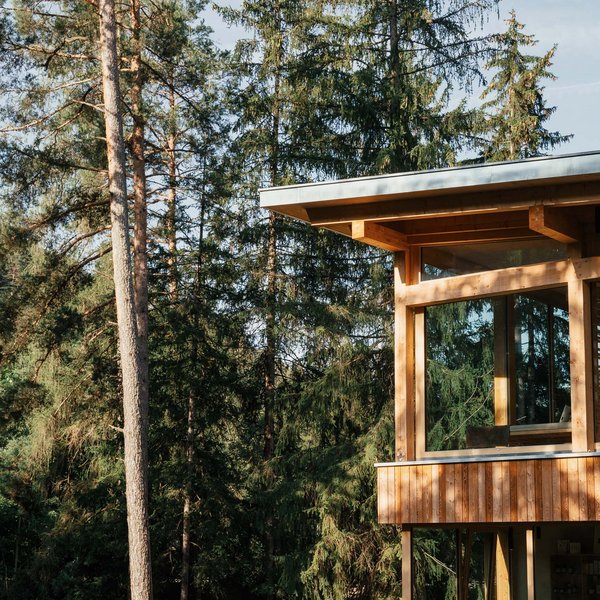 Romantischer Kurzurlaub für Verliebte – Sensoria Dolomites Modernes Holzhaus mit großem Fenster inmitten eines Nadelwaldes