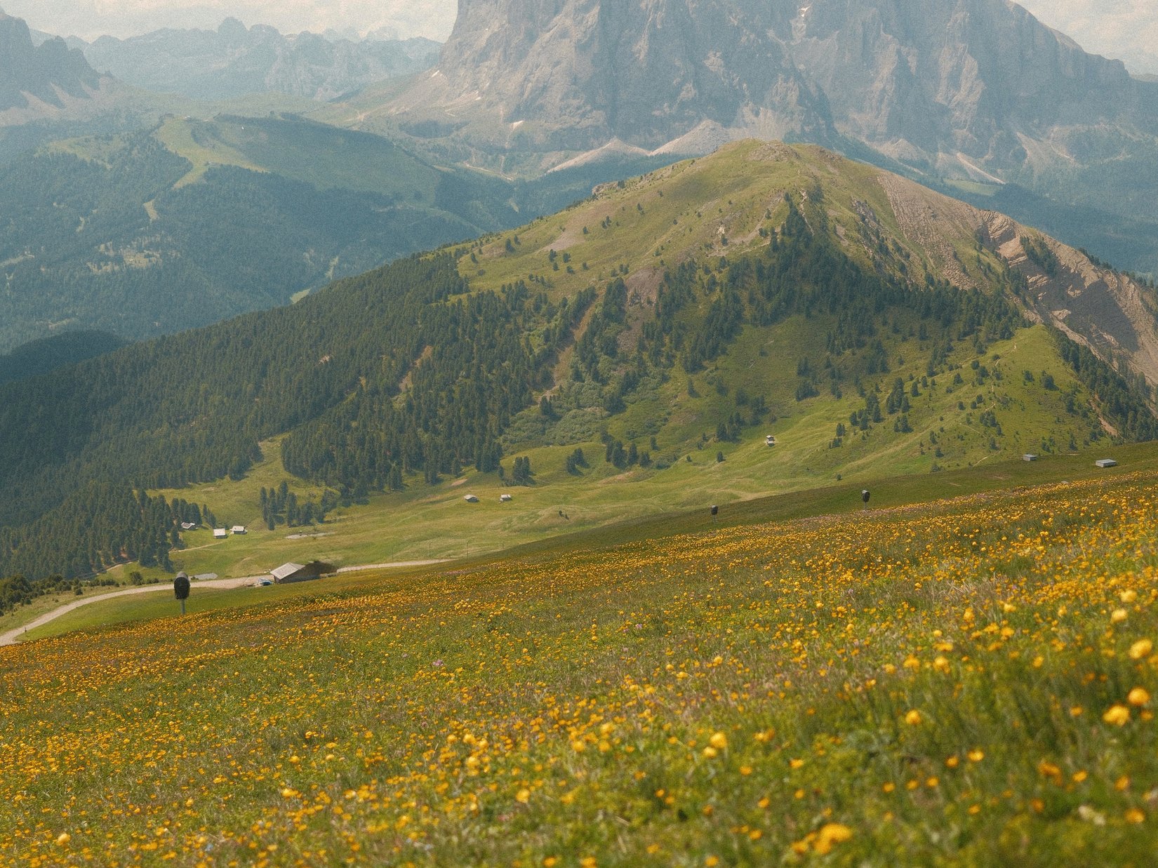 Offers – holidays in the Dolomites UNESCO World Heritage Green meadows with yellow flowers and mountains in the background under cloudy sky