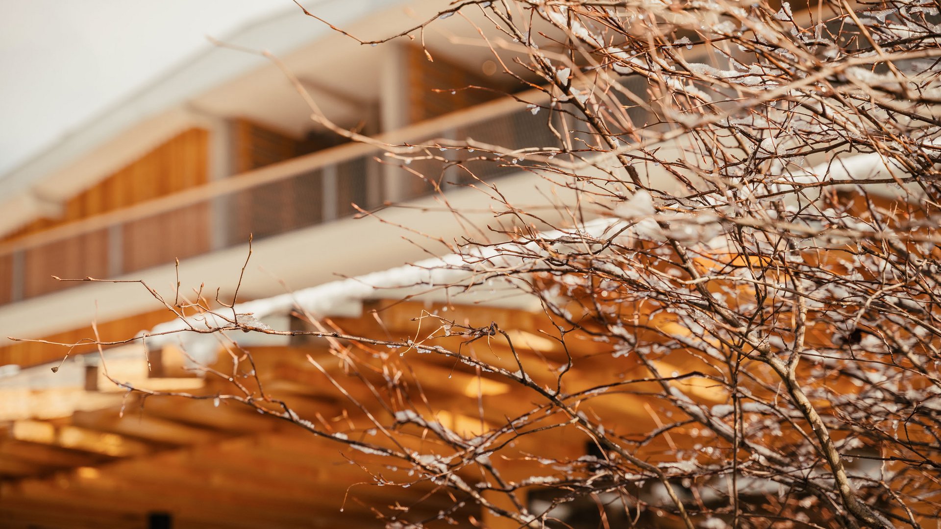 Hotel all’Alpe di Siusi: un tempio di energia per l’anima Rami con neve davanti a un edificio moderno di legno in inverno