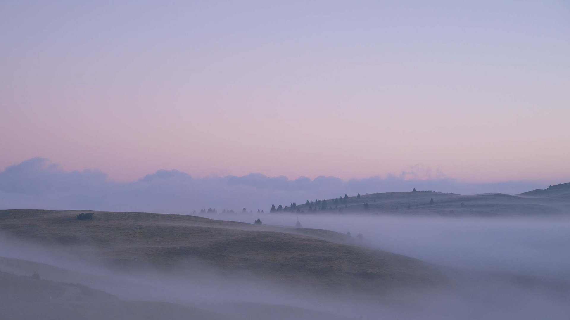 Inklusivleistungen – last minute nach Südtirol Nebel zieht über sanfte Hügel bei lila Himmel in der Dämmerung