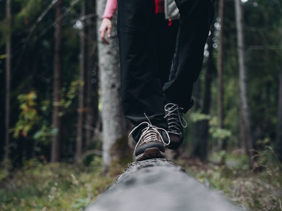 Active holidays in South Tyrol – ready for pure nature? Hiker balancing on a log in the forest