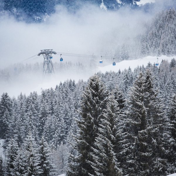 Settimana bianca sulle Dolomiti, al Sensoria Dolomites Abeti innevati in foresta con funivia e nebbia