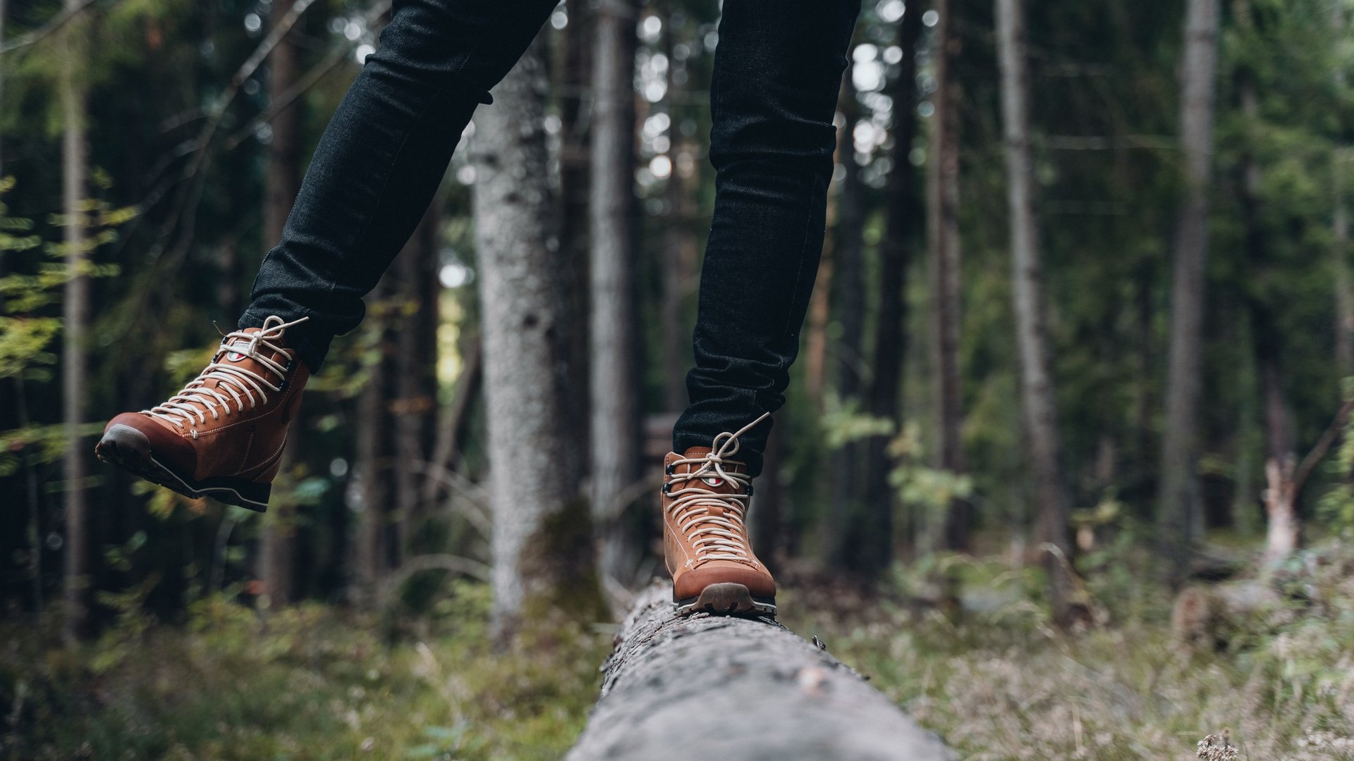 Active holidays in South Tyrol – ready for pure nature? Person balancing on fallen tree trunk in forest wearing brown hiking boots